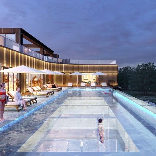 Acrylic Swim Spa